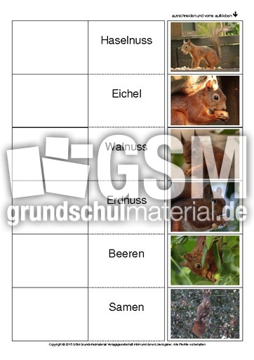 Flip-Flap-Eichhörnchen-Ernährung.pdf